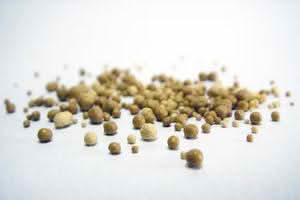 A close-up of small brown bits on a white surface, highlighting the texture and details of yeast extract