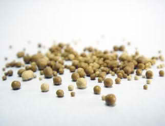 A close-up of small brown bits on a white surface, highlighting the texture and details of yeast extract